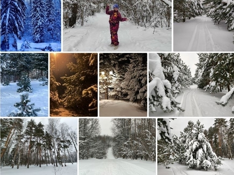 Жителей Серпухова приглашают на конкурс «Зимний русский лес»