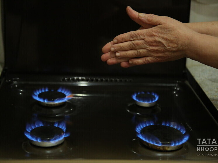 Основные правила безопасности при пользовании газом напомнили татарстанцам