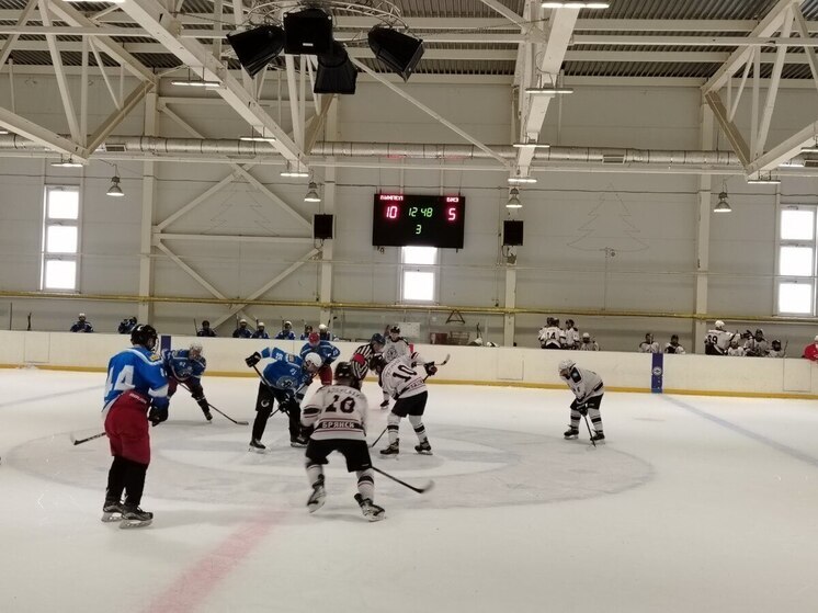Команда «Вымпел» победила на Рождественском турнире по хоккею в Брянской области