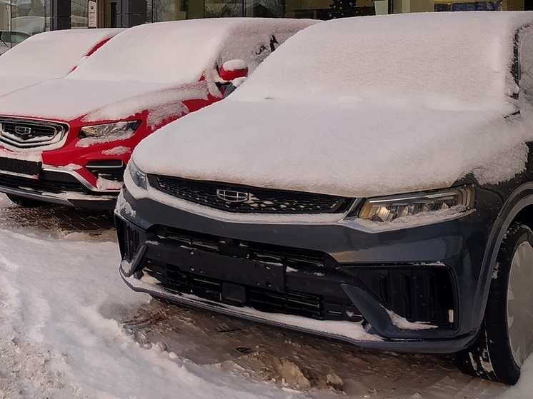 Автоэксперт Кабанов заявил, что авто из Китая в мороз превращаются в «гробы на колесах»