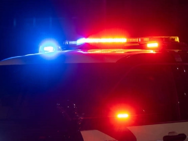 Владимирский повар избил гостя ресторана в Москве