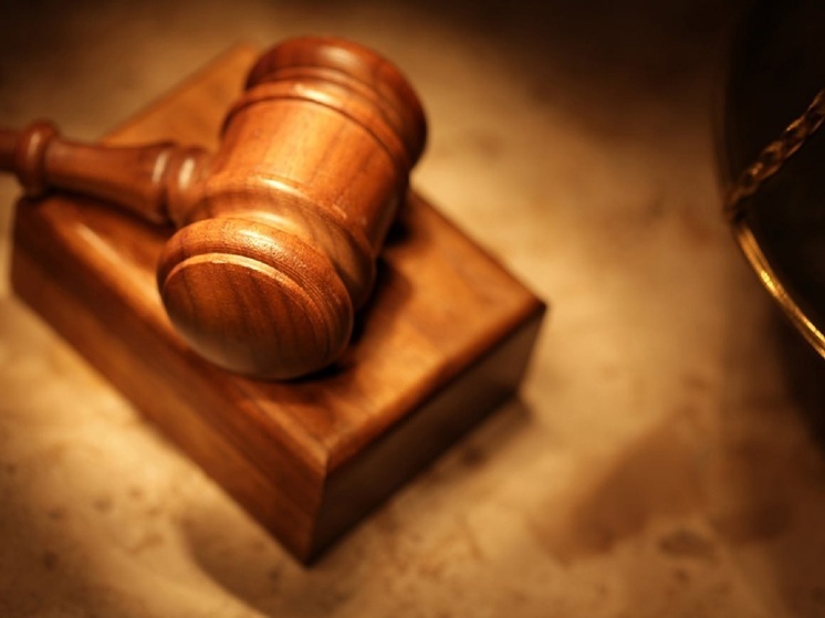 Дело Чемезовой передано в Кировский суд Екатеринбурга