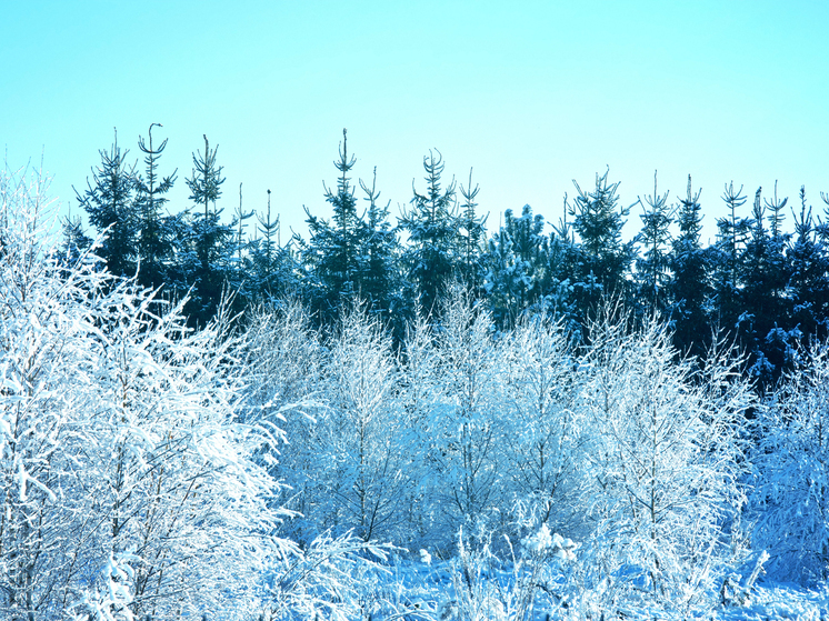 В Ивановской области ударят настоящие Крещенские морозы