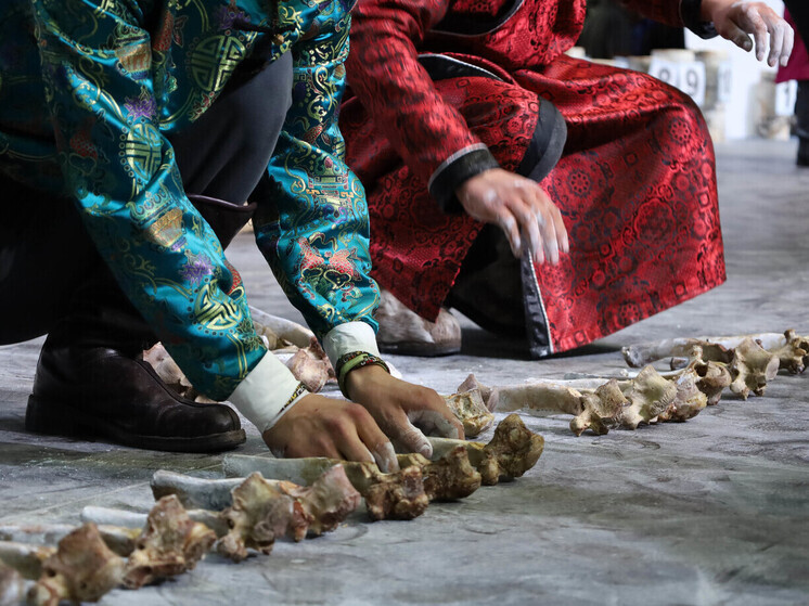 В Улан-Удэ определят сильнейшие и быстрейшие команды костоломов