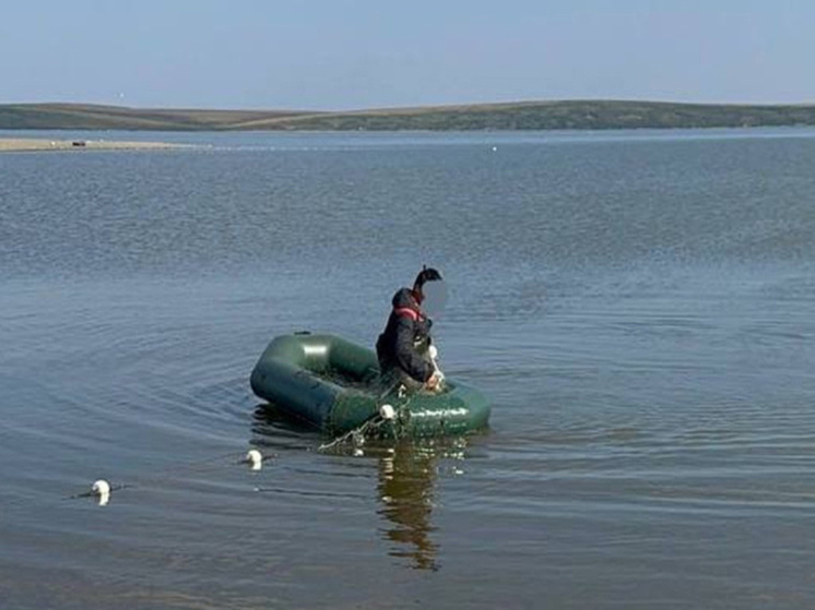Уголовное дело против четырёх браконьеров передано в суд на Чукотке