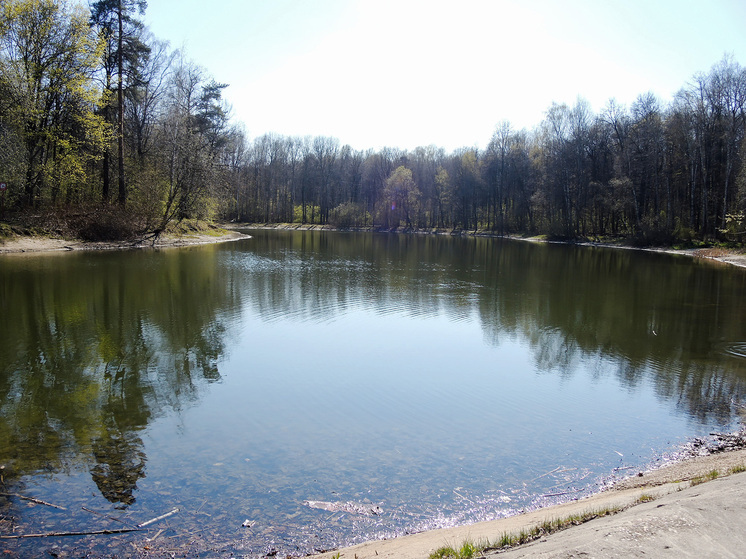 Загадочно пропавшую учительницу из Чикаго нашли мертвой в озере Мичиган