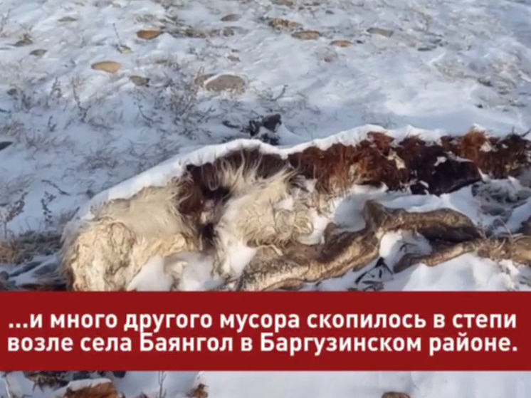 Народный фронт Бурятии бьёт тревогу из-за пятой крупной свалки в Баргузинском районе