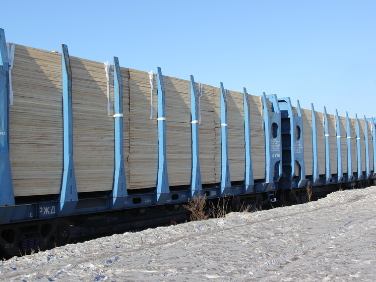 Иркутские таможенники выявили контрабанду леса на 400 млн