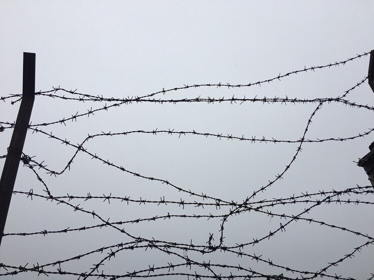 Подрядчика воронежского КБХА отправили в колонию за злоупотребления с оборонзаказом