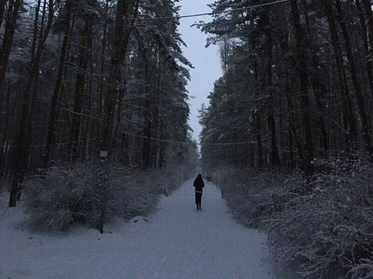 На прошлой неделе в Воронежской области объявляли поиск пятерых детей