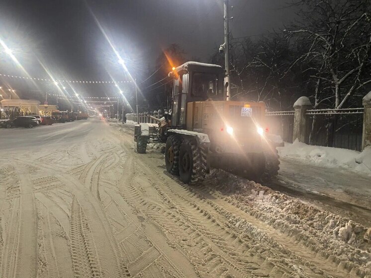 Ночью с рязанских улиц вывезли 5600 кубометров снега