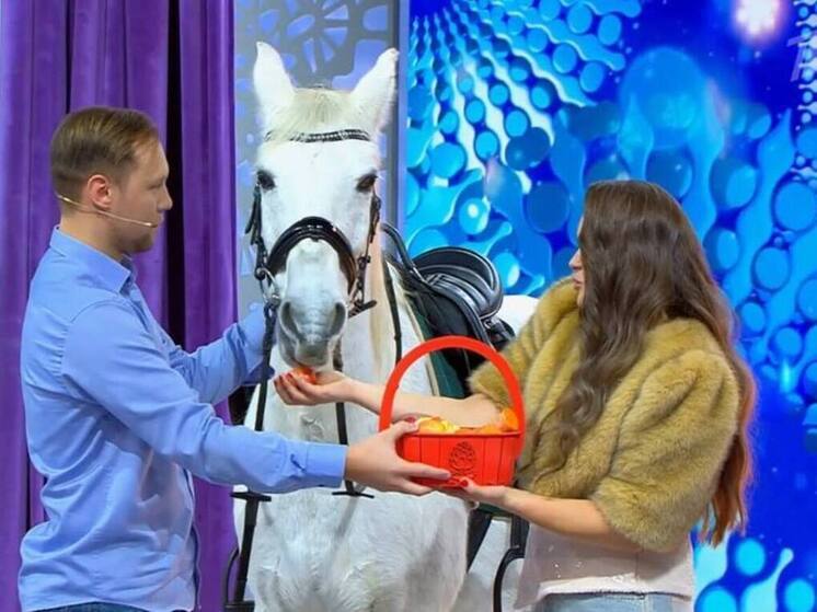 Серпуховичка Анна Зарубина стала героиней шоу «Давай поженимся»