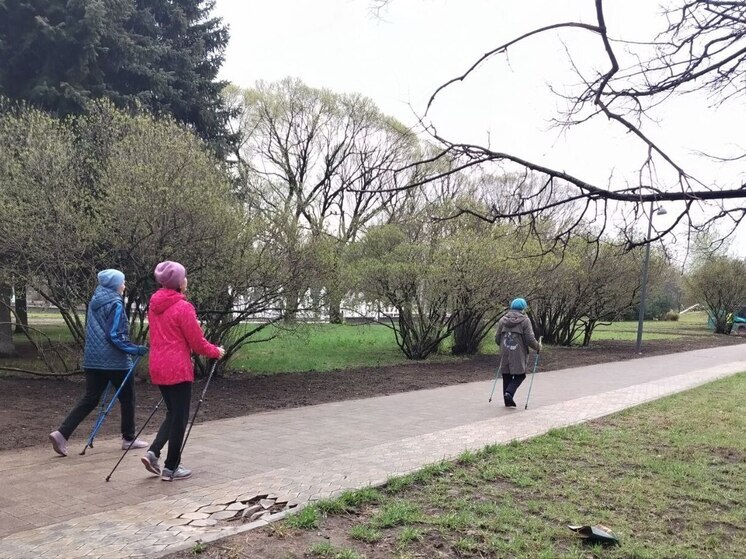 Петербург занял 4 место в стране по количеству пенсионеров