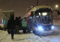 14 января — день на стыке времен, традиций и верований. В нём переплелись церковный праздник Обрезания Господня, народное чествование Василия Великого (Васильев день) и любимый многими Старый Новый год. Считается, что этот день задаёт тон на весь год вперед, а потому полон особых правил, примет и символичных действий.