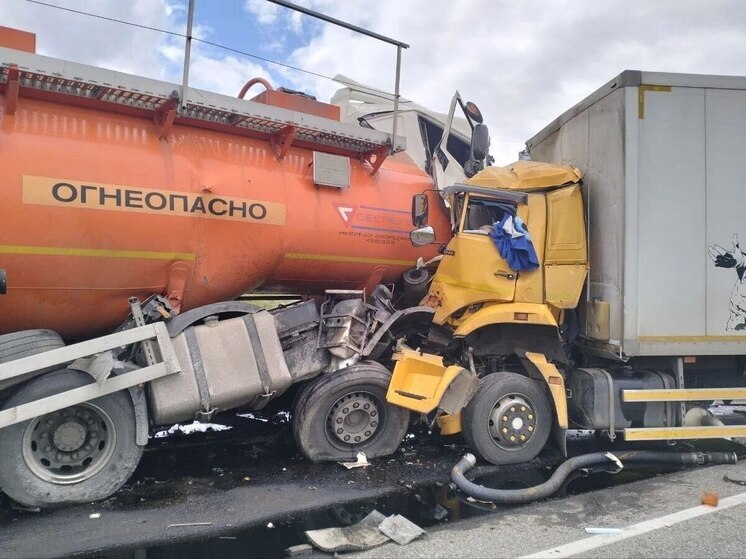 Водитель фуры получил 2 года колонии за смертельное ДТП в Волгоградской области