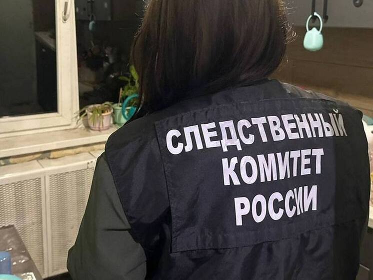 Жительница Воронежа убила знакомого шваброй