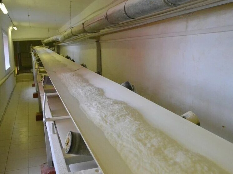 В Алтайском крае произвели 102 тысячи тонны сахара