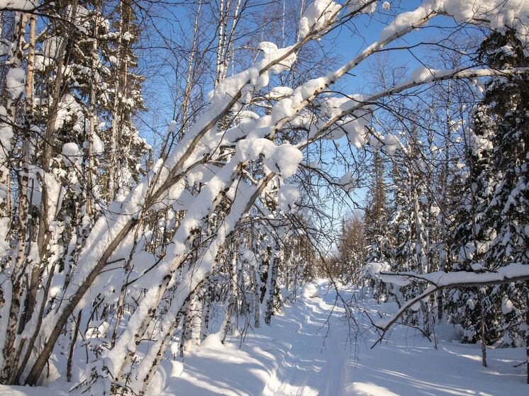 Ямалец на сломанном снегоходе запросил эвакуацию по дороге в Яр-Сале