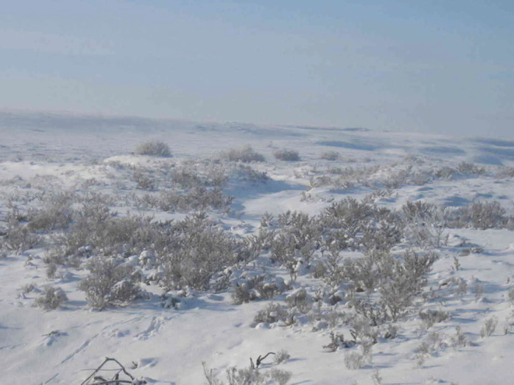 По приметам завтрашнего дня судили о погоде и урожае