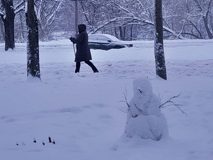 Эксперт Гришкина: прогулки по морозному воздуху укрепляют иммунитет