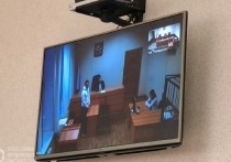 Прокуратура Ленинского района Нижнего Тагила принесла апелляционное представление на постановление об условно-досрочном освобождении Владимира Васильева, устроившего ДТП с двумя погибшими в Екатеринбурге