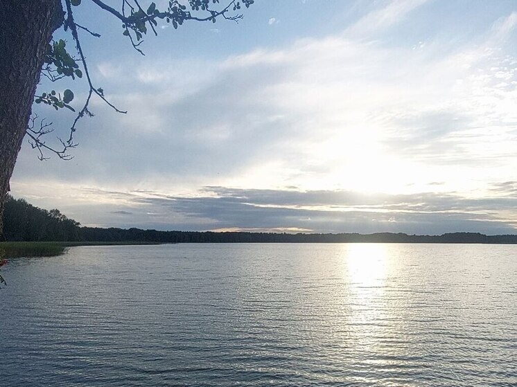 В Виштынецком парке официально начали охоту на нарушителей