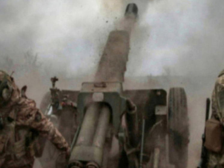 Балицкий: ВСУ открыли артиллерийский огонь по Каменке-Днепровской