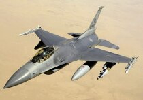 Администрация президента США Дональда Трампа изучает возможные меры воздействия на Иран, включая военные удары и кибератаки