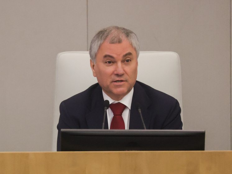 Володин призвал европейских политиков уйти в отставку из-за санкционной политики