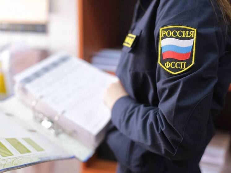 Миллион рублей за товарный знак заплатила организация в Калмыкии