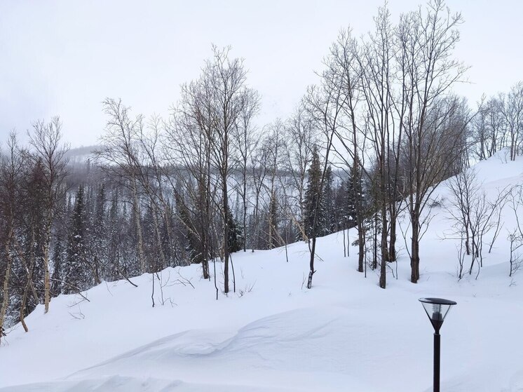 Пожилых волховчан пригласили на лыжную базу в «День здоровья» 16 января