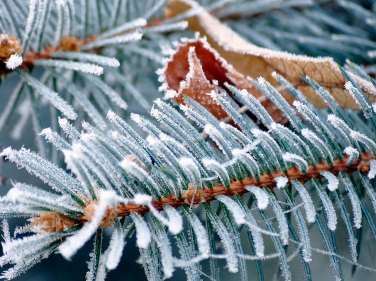 Снегопад и 5 градусов мороза прогнозируют в Херсонской области 14 января