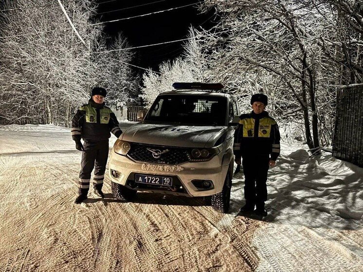 Жительнице Калевалы вернули домашнего питомца, который испугался салютов и убежал