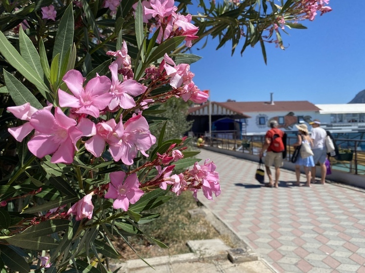 Крым принял почти 7 млн туристов в 2025 году