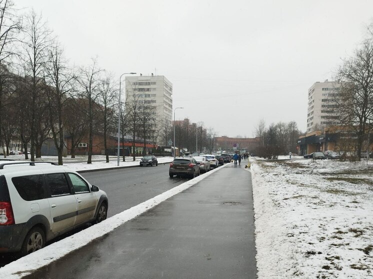 Петербуржцы получили почти 600 штрафов за парковку в новогодние праздники