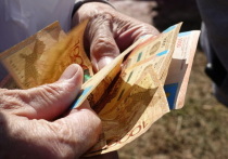 С 1 января 2026 года в Казахстане все виды государственных пособий, базовых и солидарных пенсий были увеличены на 10 процентов