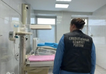 «МК» удалось связаться с одной из рожениц, которая на протяжении месяца находилась в Новокузнецком роддоме №1, где в новогодние праздники погибло 9 младенцев