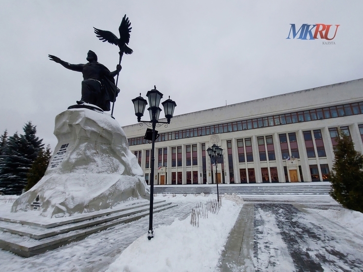 В Калуге реализовали 59 идей горожан