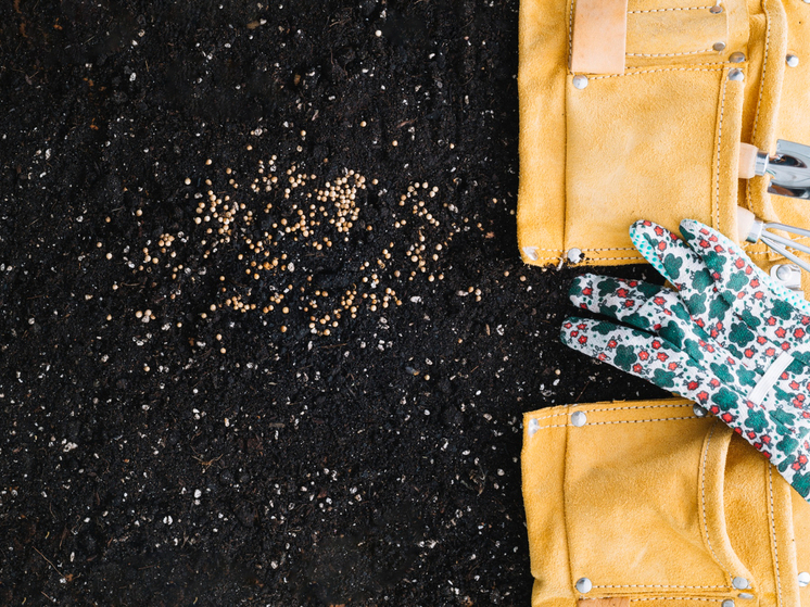 Россельхознадзор выявил 53 нарушения в продаже семян в Пензенской области