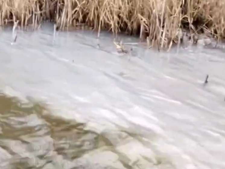 В Волгодонске заметили слив нечистот в Мокро-Соленовскую балку