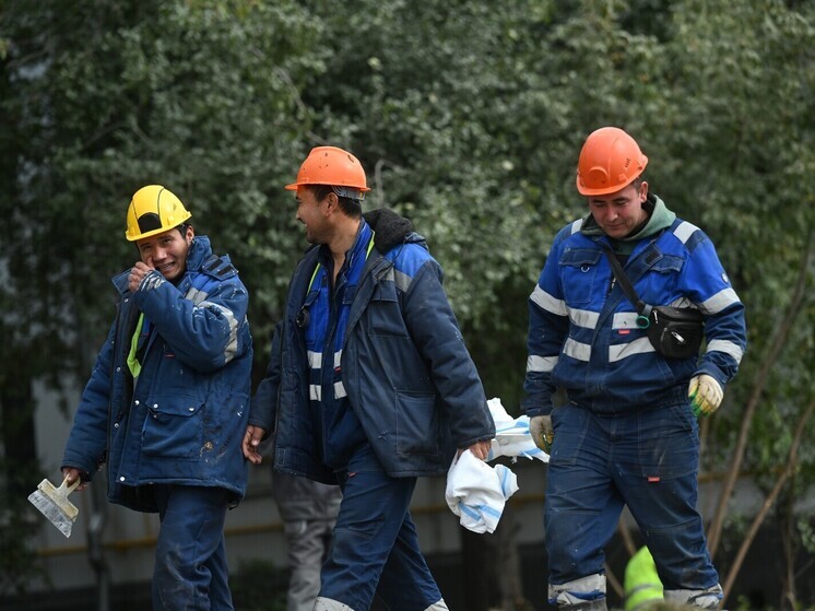 В 2027–2029 годах в России пройдет эксперимент по оргнабору иностранцев на работу