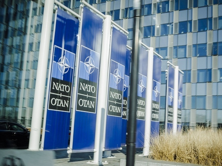 Политолог Кортунов: если США решат присоединить Гренландию, НАТО грозит раскол