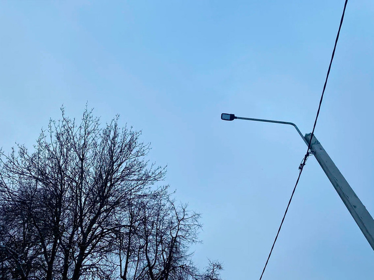 Липчанам поведали, что ждать от погоды 14 января