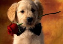 Дни рождения 14 января