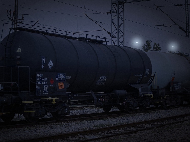 Германия — Поезд, скобы и военный конвой: что произошло на путях