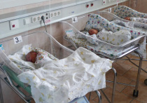 За новогодние праздники в роддоме № 1 Новокузнецка умерли девять младенцев