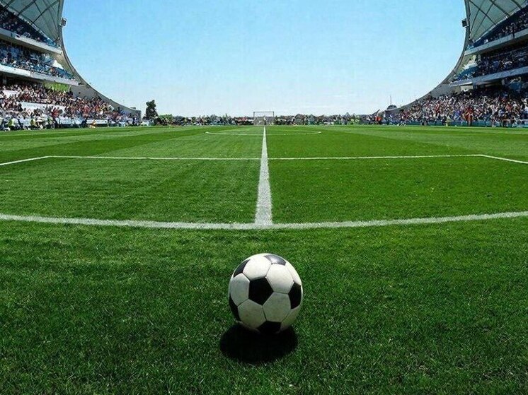 Воронежский «Факел» сыграет на сборах с клубом из Узбекистана