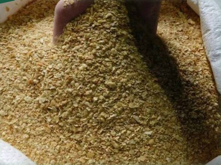 Первая партия рапса из Калининграда благополучно уехала в Поднебесную