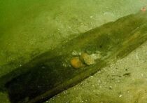 Новое доисторическое открытие в озере в штате Висконсин (США) продемонстрировало, что в Америке существовала развитая культура в то же время, что и у древних египтян