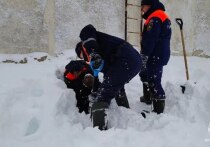 Циклон «Френсис» не только подпортил москвичам и жителям Центральной России окончание праздников и начало трудового года